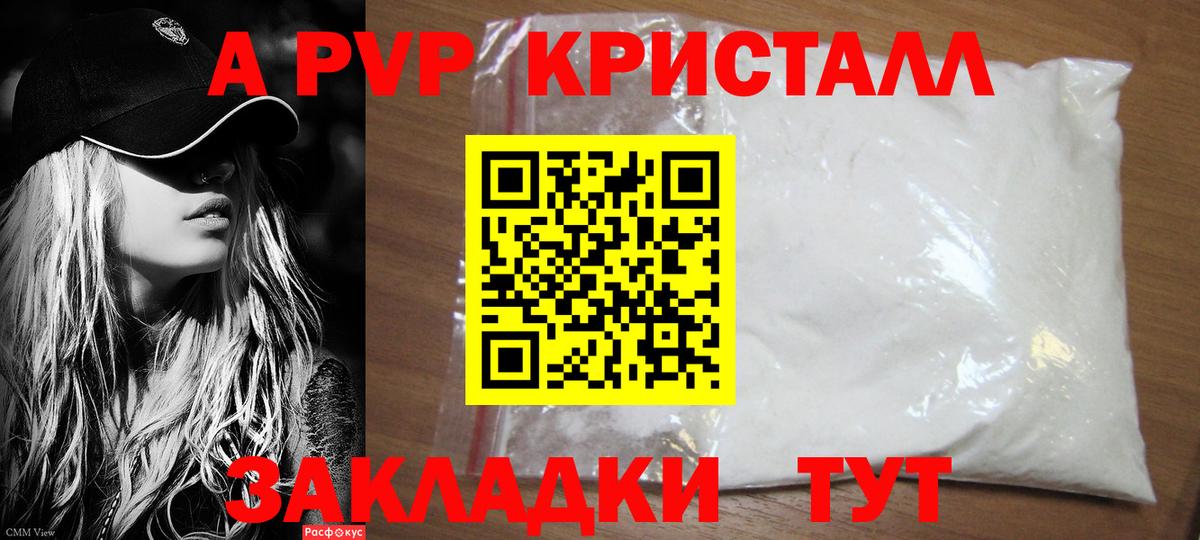 A-PVP СК КРИС Губкин