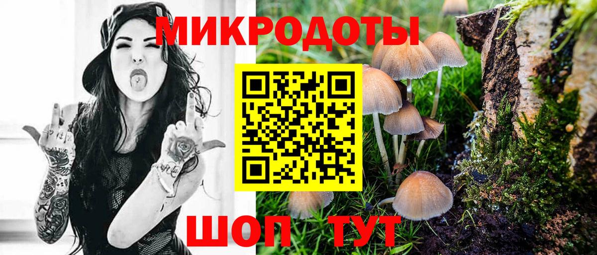 Губкин  Псилоцибиновые грибы прущие грибы  Вход с VPN 
