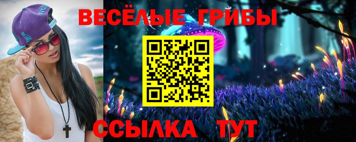Псилоцибиновые грибы мухоморы Губкин